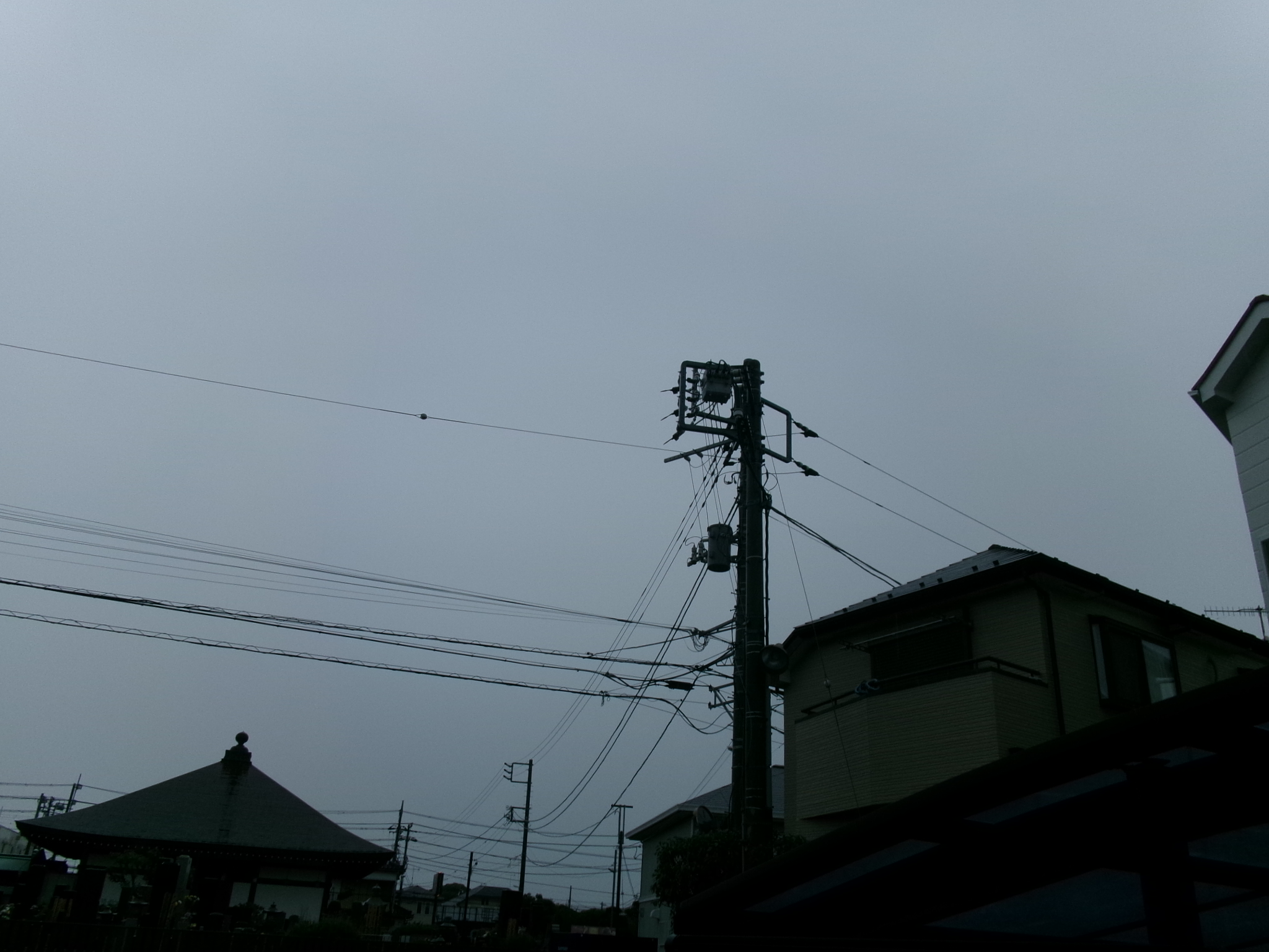 いい加減にしてほしいものです