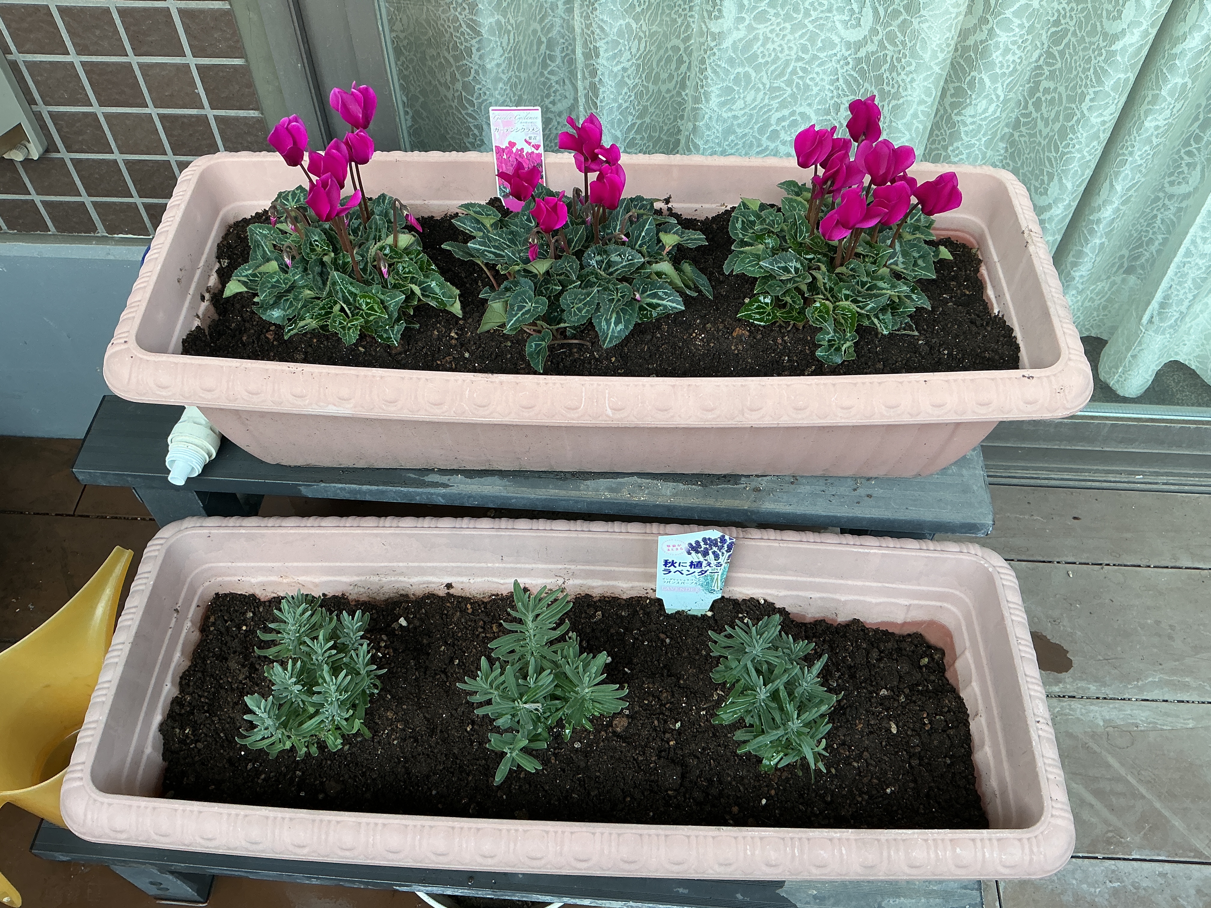 種を植えました！（第2弾🌱）