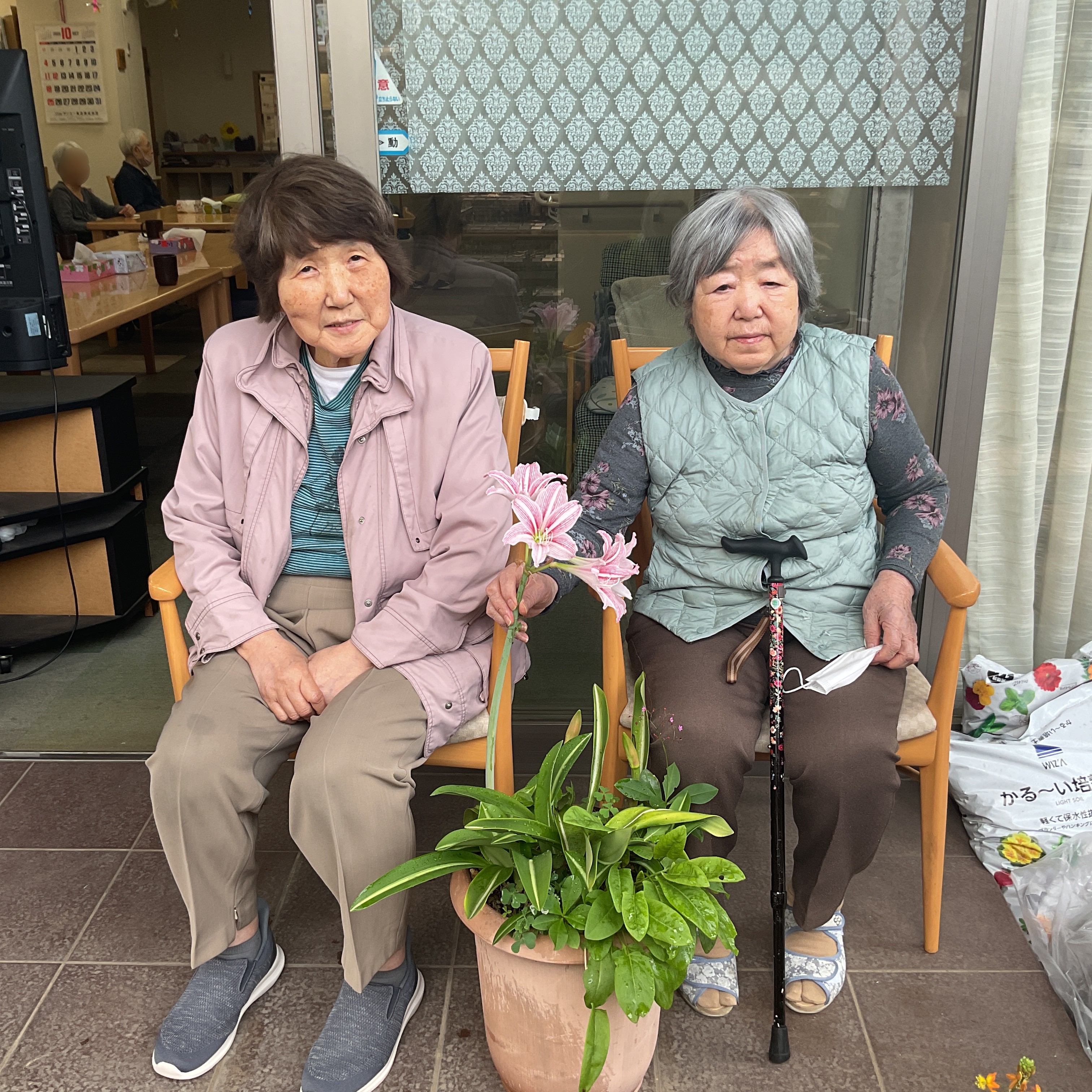 小規模多機能　10月ー①　アマリリス開花