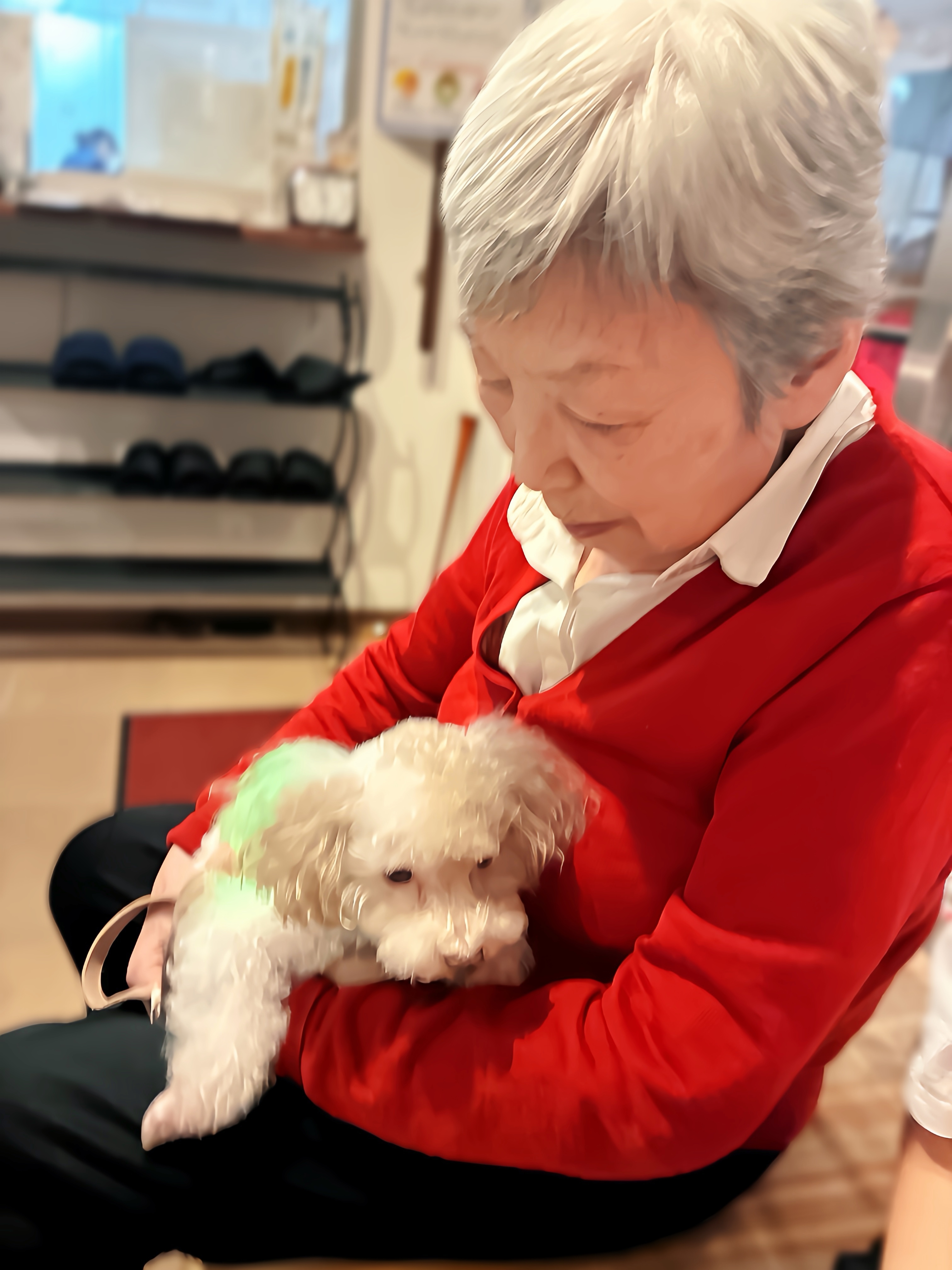 うちの子になるかい？🐶